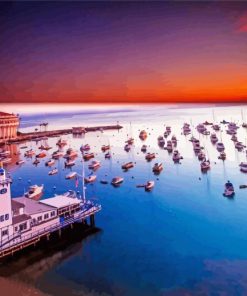 Catalina Island At Sunset Paint By Number