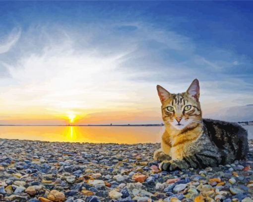 Cute Cat On At Sunset Paint By Number