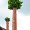 Chimney Reclaiming Nature Paint By Number