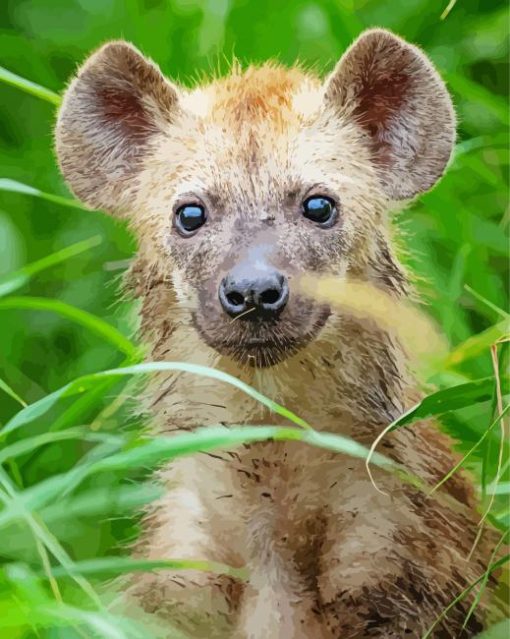 Close Up Little Spotted Hyena Paint By Number