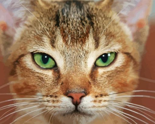 Close Up Abyssinian Cat Paint By Number