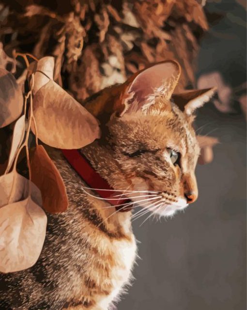 Cute Abyssinian Cat Paint By Number