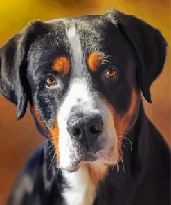 Cute Greater Swiss Mountain Dog Paint By Number