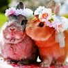 Cute Rabbit With Flower Wreath Paint By Number