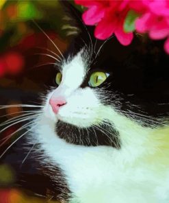 Cute Tuxedo Cat Paint By Number