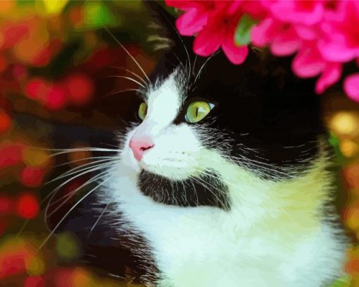 Cute Tuxedo Cat Paint By Number