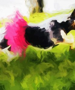 Dog In Tutu Laser Eyes Paint By Number