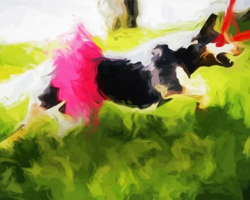 Dog In Tutu Laser Eyes Paint By Number