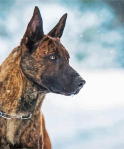 Dutch Shepherd Dog Paint By Number