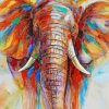 Elephant Head Art Paint By Number