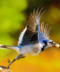 Flying Blue Jays Paint By Number