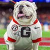 Georgia Bulldogs Paint By Number