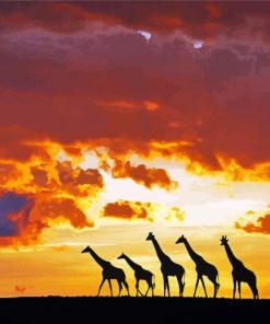 Giraffes Animals Silhouette At Sunset Paint By Number