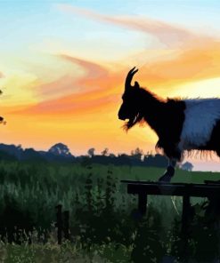 Goat Animal At Sunset Paint By Number