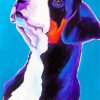 Greater Swiss Mountain Dog Art Paint By Number