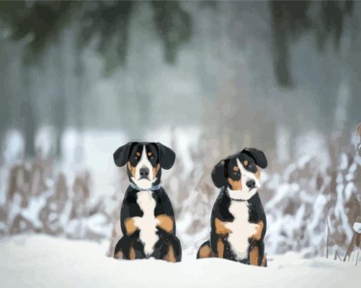 Greater Swiss Mountain Dog In Snow Paint By Number