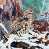 Grouse Bird Art Paint By Number