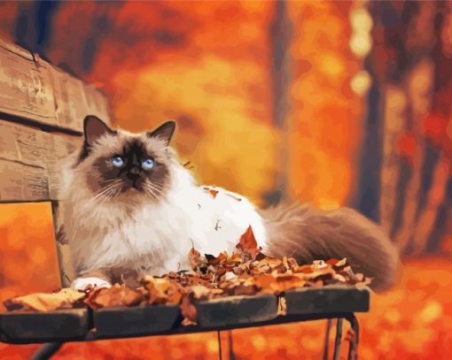 Himalayan Cat In Fall Paint By Number