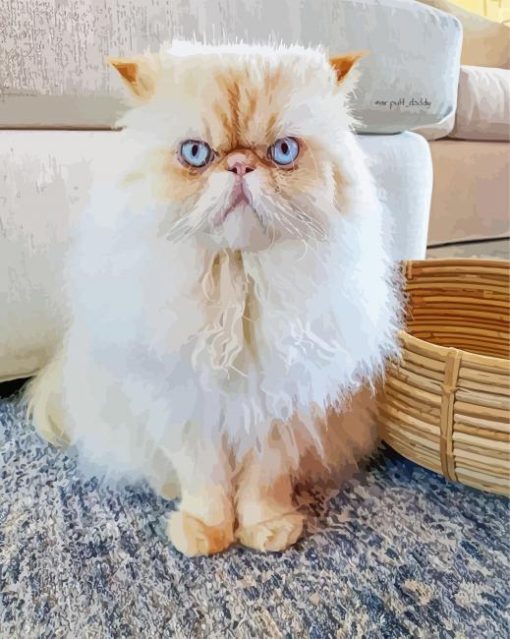 Himalayan Cat With Blue Eyes Paint By Number