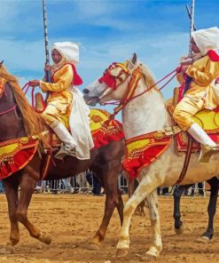 Horse Show In Morocco Paint By Number