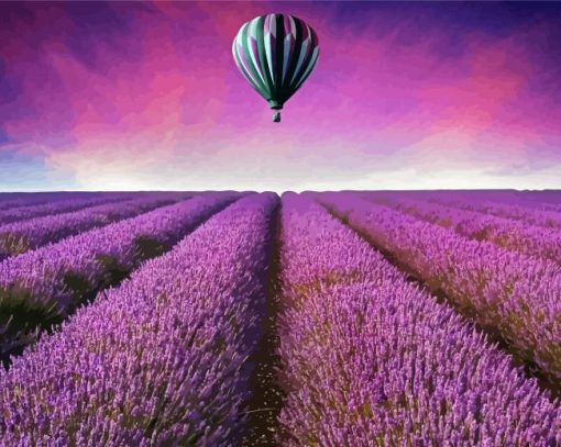 Hot Air Balloon Over Lavender Field Paint By Number