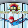 Indoor Skydiving Cartoon Paint By Number