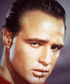 Marlon Brando Actor Paint By Number