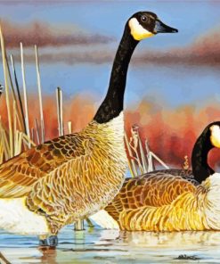 Nene Hawaiian Geese Paint By Number