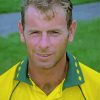 Paul Reiffel Ancient Cricketer Paint By Number