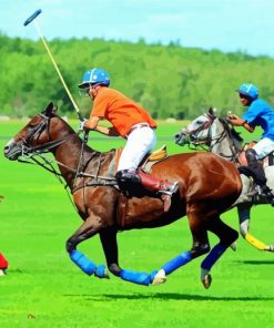 Polo Sport Players And Horses Paint By Number