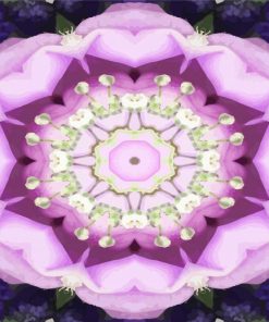 Purple Flower Kaleidoscope Paint By Number