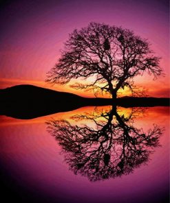 Reflection Tree By Water At Sunset Paint By Number