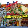 Ripley's Believe It Or Not In Fort Worth Paint By Number