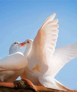 Romantic White Doves Birds Paint By Number