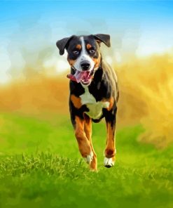 Running Greater Swiss Mountain Dog Paint By Number