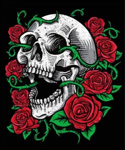 Skulls And Roses Art Paint By Number