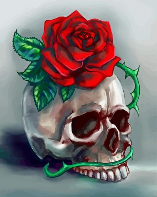 Skulls And Roses Flower Art Paint By Number