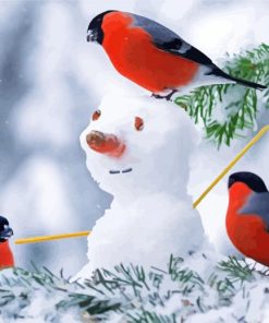 Snowman With Birds Paint By Number