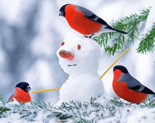 Snowman With Birds Paint By Number