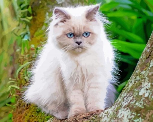 The Himalayan Cat Paint By Number