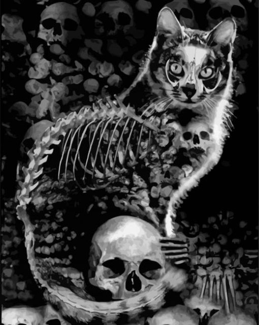 The Skull Cat Paint By Number