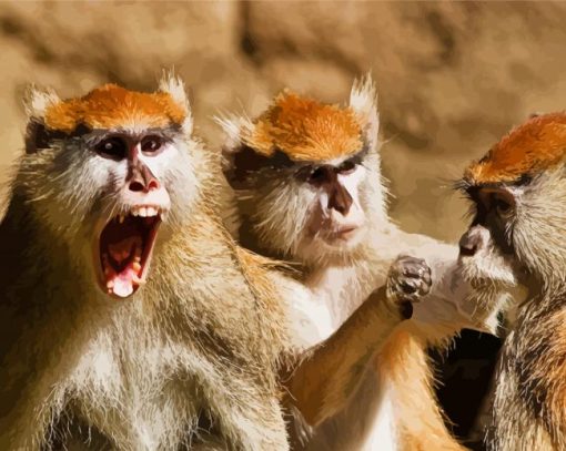 Three Monkey Paint By Number