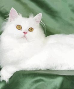 White Himalayan Cat Paint By Number