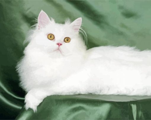 White Himalayan Cat Paint By Number