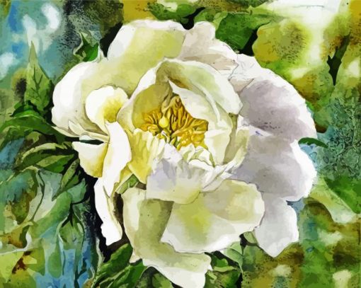 White Peony Art Paint By Number