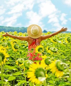 Woman In Field Of Sunflowers Paint By Number