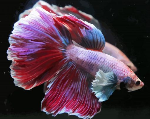 Beautiful Purple Betta Fish Paint By Number