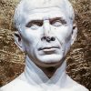 Bust Of Julius Caesar Paint By Number