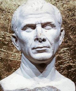 Bust Of Julius Caesar Paint By Number