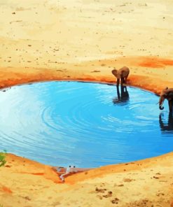 Elephants By Waterhole Paint By Number